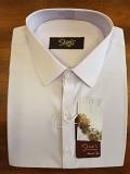 Men's White Salwar Kameez XL Pakistani Ethnic Wear Shieno Sarees #54046